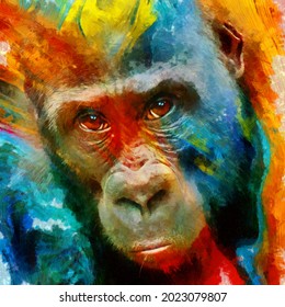 Modern Oil Painting Of Gorilla Face On Colorful Background. Artist Collection Of Animal Painting For Decoration And Interior, Canvas Art, 