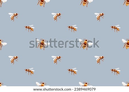Modern pattern with bees, grey backdrop for label, template, print, for any design. Digital watercolor illustration