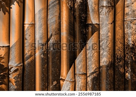 modern pattern studies, manipulation background, photoshop manipulation, image background, abstract background, canvas texture abstract, Print design patterns