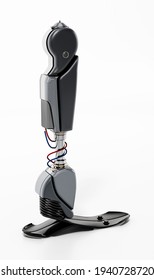 463 Prosthetic Leg Shoe Images, Stock Photos & Vectors | Shutterstock