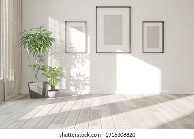modern room with plants and frames interior design. 3D illustration