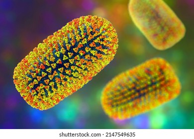 Mokola Virus, An RNA Virus Related To Rabies Virus Isolated From Mammals, Mainly Cats, Across Sub-Saharan Africa, Causes Disease Similar To Rabies In Animals And Rarely Humans, 3D Illustration