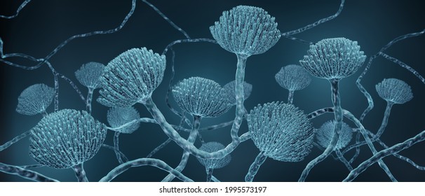 Mold close-up, Microscopic Aspergillus fungi 3d illustration
