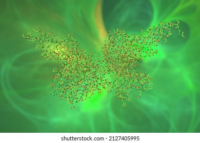 Molecular Model Of Fibroblast Growth Factor 1 (FGF1) In Complex With Extracellular Ligand Binding Of FGF Receptor 1 (FGFR1). Rendering Based On Protein Data Bank Entry 1evt. 3d Illustration