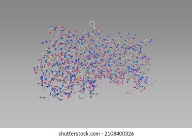 Molecular Model Of Human Galectin-14, A Member Of The Galectin Family Of Carbohydrate Binding Proteins. Rendering Based On Protein Data Bank Entry 6k2z. Scientific Background. 3d Illustration