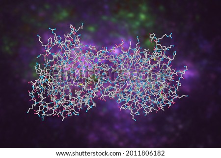 Molecular model of human granzyme B, a serine protease most commonly found in the granules of natural killer cells and cytotoxic cells. Scientific background. 3d illustration