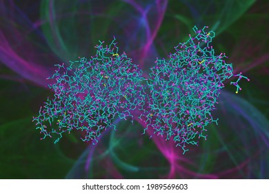 Molecular Model Of Human Intelectin-1 (intestinal Lactoferrin Receptor), One Of The Family Of Multimeric Secreted Proteins That Bind Microbe-specific Glycans. Scientific Background. 3d Illustration