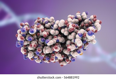 Molecular Model Of Interferon-gamma 3D Illustration. IFN-gammaa Is A Protein Produced By Leukocytes And Involved In Innate Immune Responce Against Viral Infections