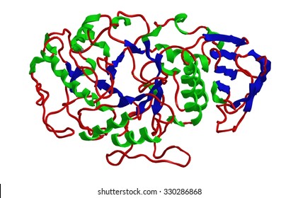 Amylases High Res Stock Images Shutterstock