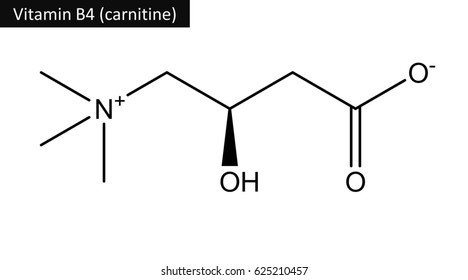 Molecular Structure Of Carnitine (so Called Vitamin B4). Quaternary Ammonium Compound 