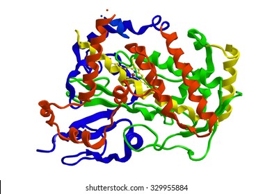 Molecular structure of cytochrome P450 - belong to the superfamily of proteins containing a heme cofactor