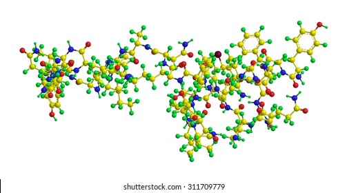 Molecular structure of endorphin (beta endorphin) - endogenous opioid polypeptide consisting of 31 amino