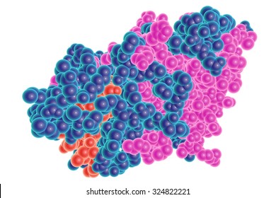 Molecular Structure Of Enzyme Nitric Oxide Reductase Produced By Denitrifying Fungus Fusarium Oxysporum, Isolated On White Background. Enzyme Used In Biosynthesis Of Silver Nanoparticles