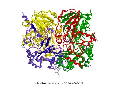 galactose structure oxidase Shutterstock Raimundo79's on Portfolio