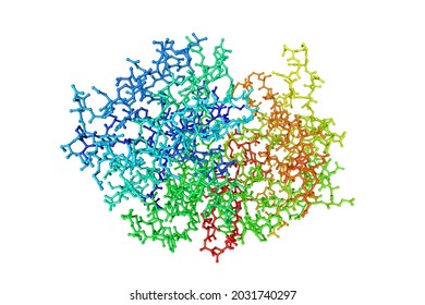 Molecular Structure Of Human Pepsin 3b, One Of The Enzymes That Digest Food Proteins Into Peptides. Rendering Based On Protein Data Bank Entry 3utl Rainbow Coloring From N To C. 3d Illustration