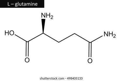 Molecular Structure L Glutamine Important Amino Stock Illustration 498405133