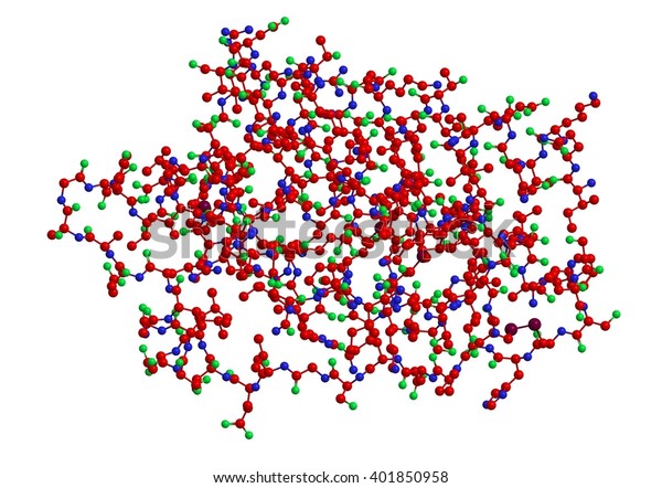 Molecular Structure Leptin Peptide Hormone Hunger Stock Illustration ...