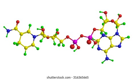 Molecular Structure Of Nicotinamide Adenine Dinucleotide (NAD/NADH)