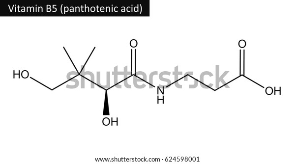 Molecular Structure Panthotenic Acid Vitamin B5 스톡 일러스트 ...