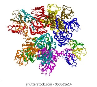 Molecular Structure Of Sodium-Potassium Pump (pump Sodium Ions Out And Potassium Ions In)