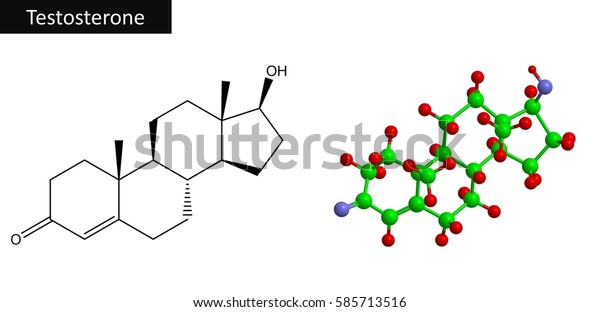 Molecular Structure Testosterone Steroid Hormone Androgen Stock ...