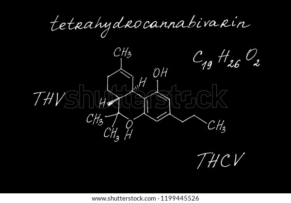 Molecular Structure Tetrahydrocannabivarin Stock Illustration 1199445526