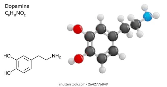 Molecule: Dopamine (DA). 3D model of a hormone. Neurotransmitter. Molecular formula: C8H11NO2. Chemical model: Ball and Stick. White background. 3D illustration