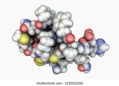 Molecule Of Scorpion Chlorotoxin, 3D Illustration. A Peptide From Venom Of Deathstalker Scorpion Leiurus Quinquestriatus, Studied As A Potential Anticancer Agent For Treatment Of Brain Cancer Glioma