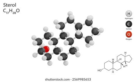 Molecule: Sterol. Molecular structure. Formula: C17H28O. Chemical model: Ball and stick. Sterols are a subgroup of steroids. White background. 3D illustration