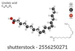 Molecules Linoleic Acid. Polyunsaturated fatty acid. Molecular structure. Formula: C18H32O2. Chemical model: Ball and stick. White background. 3D illustration.