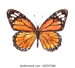 Monarch Butterfly Watercolor Hand Painted Illustration Stock ...