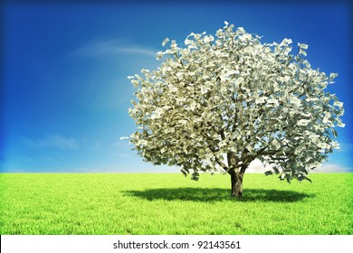 tree for money