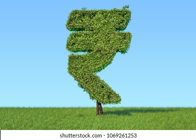 Money Tree In The Shape Of Rupee Symbol On The Green Grass Against Blue Sky, 3D Rendering 