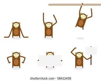 Monkey Collection