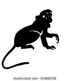 Monkey Hand Drawn Silhouette Animal On Stock Illustration 555860728 ...