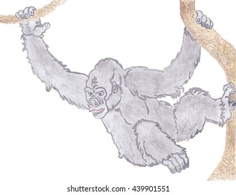 Monkey hanging on a tree. Isolated on white background. Symbol of the new year of monkey  Watercolor.