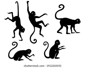 Monkey silhouette simple illustration. 5 pcs