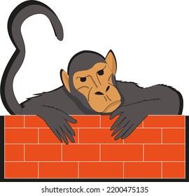 A monkey standing behind a red wall.