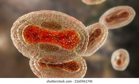 Monkeypox virus, 3D illustration. A zoonotic virus from Poxviridae family, causes monkeypox, a pox-like disease