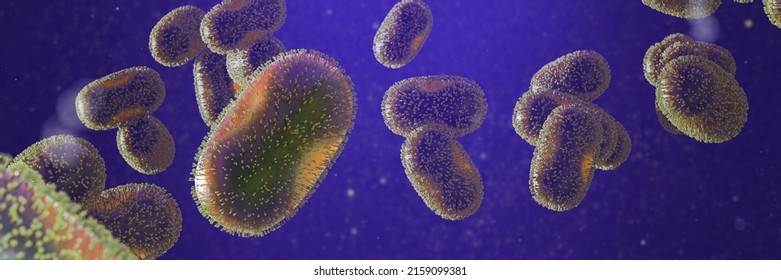 Monkeypox Virus, Infectious Zoonotic Disease (3d Microbiology Render Banner)   