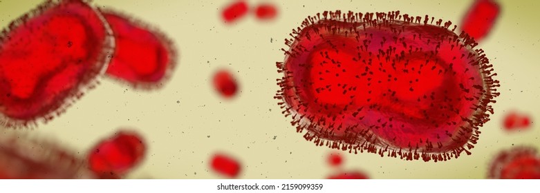Monkeypox virus, one of the human orthopoxviruses, background banner format (3d microbiology render)   