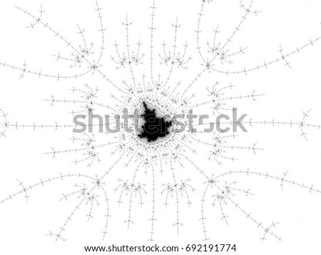 Monochrome, black and white graphics. Pattern created using mathematical formulas created by Benoit Mandelbrot. These patterns can be used in tissue, printing and visual experiments. Natural design
