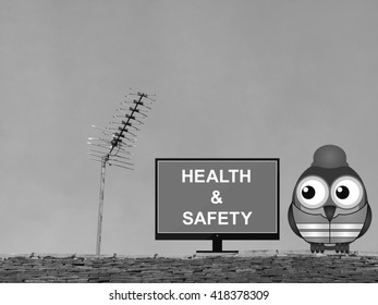 Monochrome Comical Bird Construction Worker Watching Health And Safety Induction Programme Perched On A Rooftop