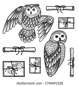 Monochrome set of owls and letters in the style of engraving. Isolated objects on a white background.