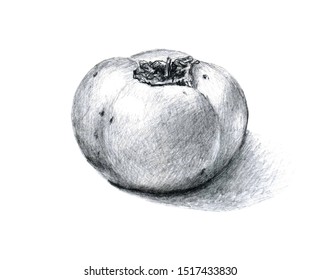 Fruit Pencil Drawing High Res Stock Images Shutterstock https www shutterstock com image illustration monochrome simple pencil drawing persimmon fruit 1517433830