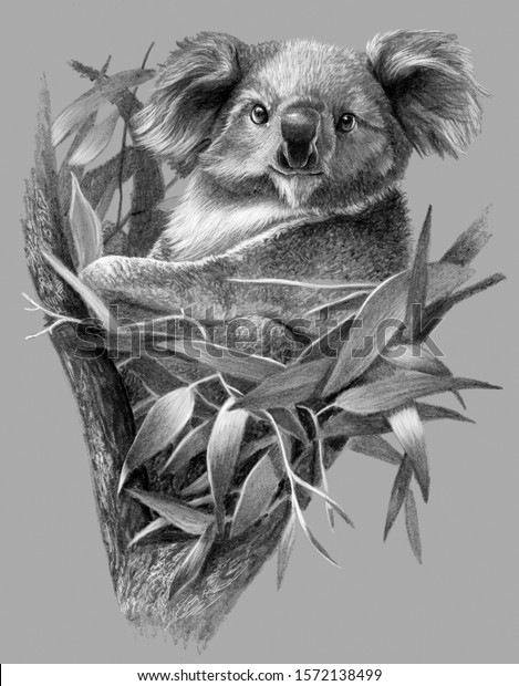 Monochrome Sketch Koala Bear On Tree Stock Illustration 1572138499