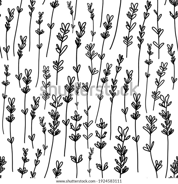 monochrome white-black lavender seamless pattern, plant sprigs isolated on white background. print for packaging, paper, wallpaper.