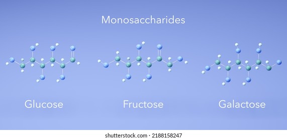 Monosaccharide - Glucose, Fructose, Galactose, Molecular Structures, 3d Rendering, Structural Chemical Formula