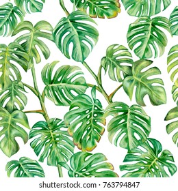 Watercolor Seamless Pattern Palm Leaves Tropical Stock Illustration ...