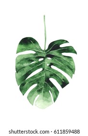 Monstera Leaf Watercolor